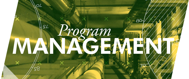 Program-Management